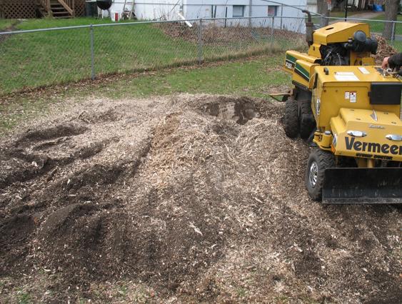 Broyage mécanique de souche